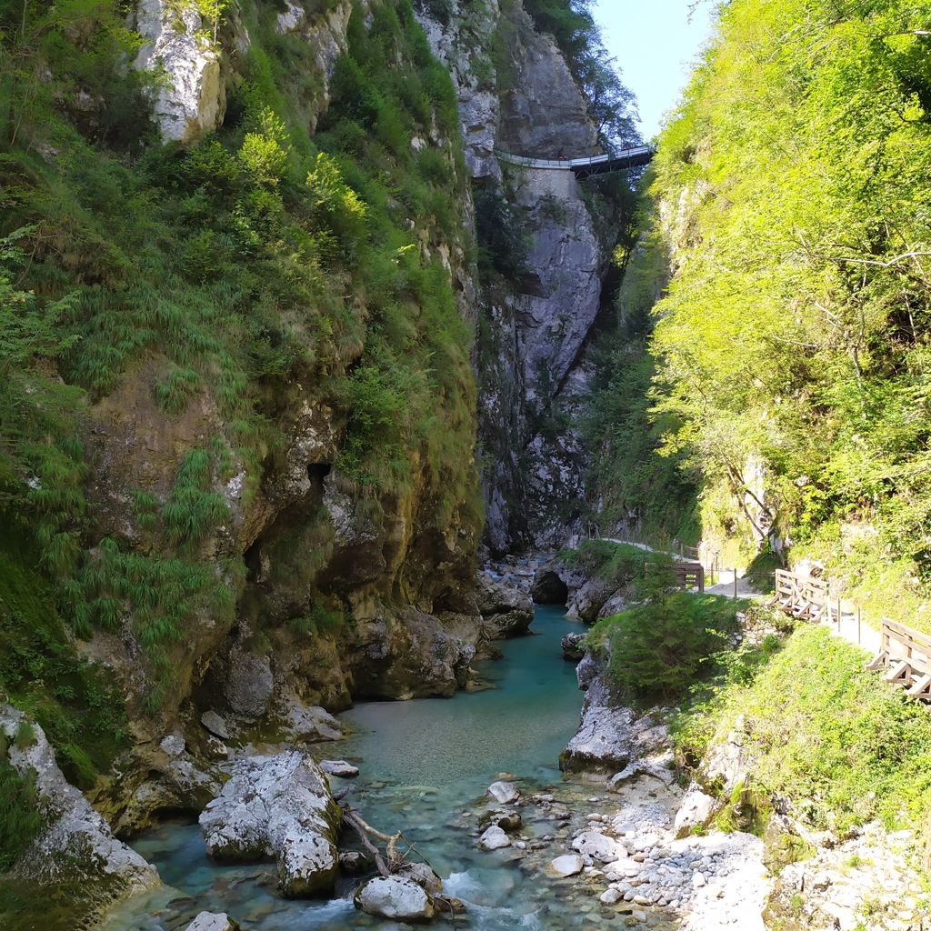 GOLE DI TOLMIN