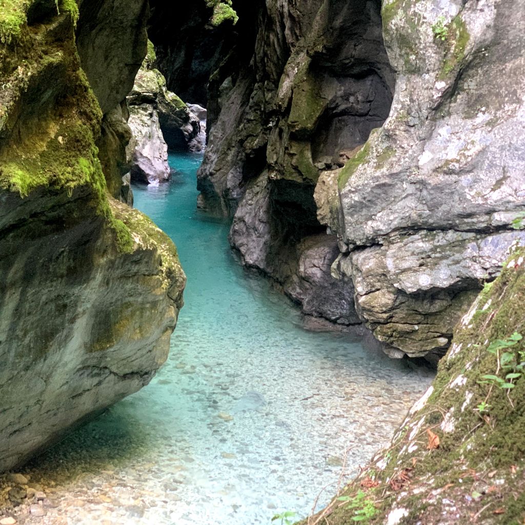 GOLE DI TOLMIN